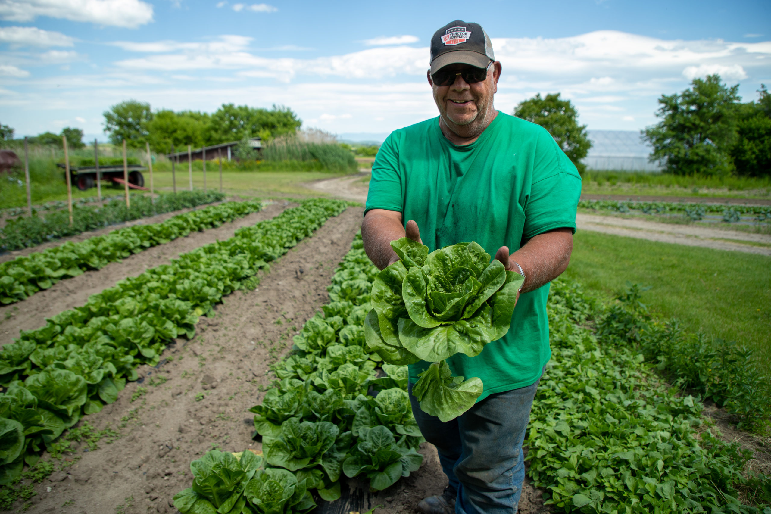 Benefits of Buying Local Food - Adirondack Harvest