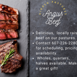 Angus-Beef