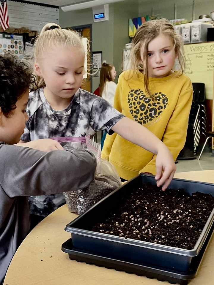 The image depicts children planting seeds in a tray.