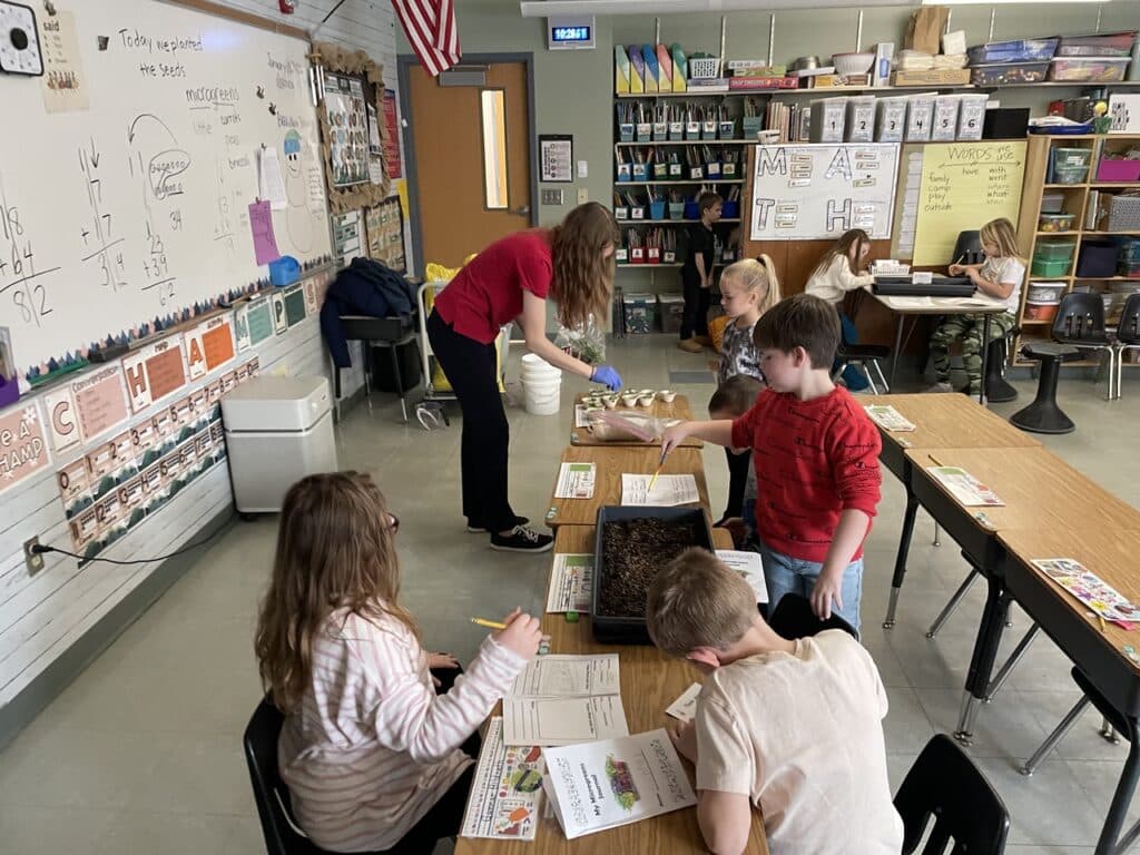 The photo depicts children sitting at their school table. Ellie Hoffman, local food educater through cornell cooperative extension of essex county, is shown planting seeds in cups.