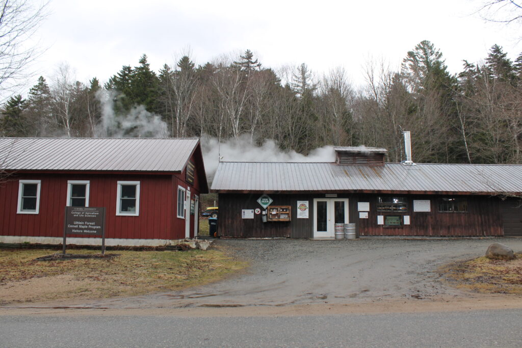 Rustic buildings with steam rising from the roof