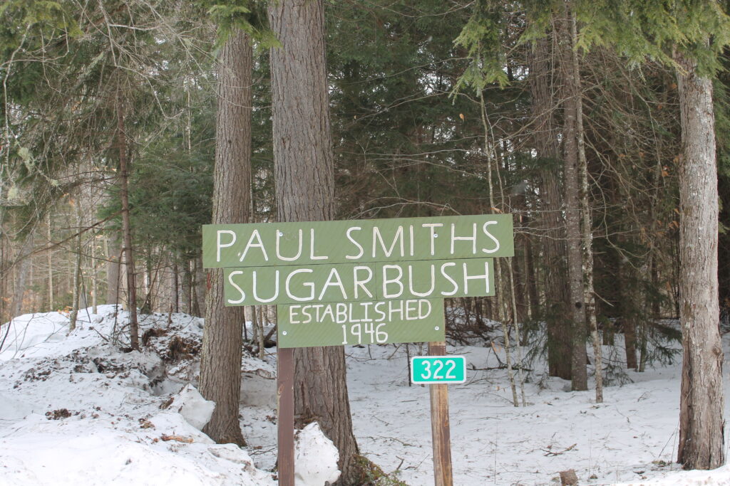 An outdoor sign that is green reads Paul Smith's Sugarbush, Established 1946.