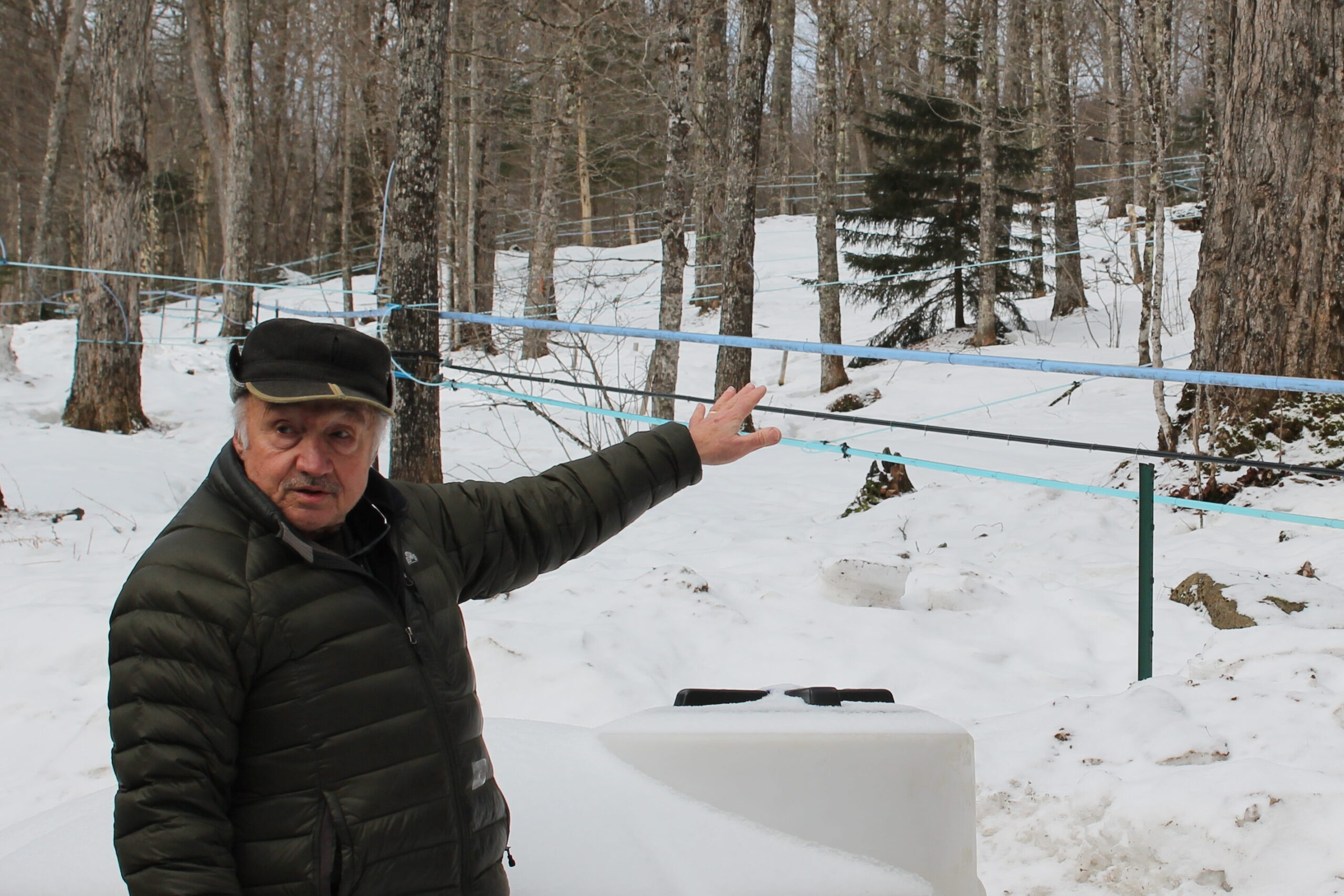 Mike Richelin speaking to people outside of the photo frame. He's pointing to the grove of maple trees that surrounds the sugar bush.