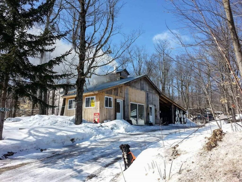 Image shows Brandy Brook Maple and Olde Thyme Winery's sugar house in winter. There's snow all around and a dog looking longingly at its owner, who is taking the photo.