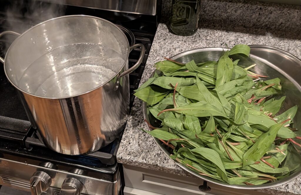 Pots on stove with water and leaves
