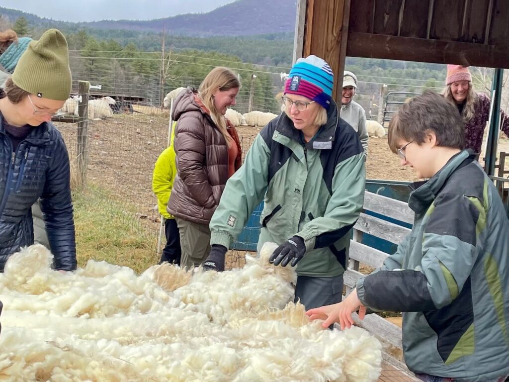 People handling wool on a farm