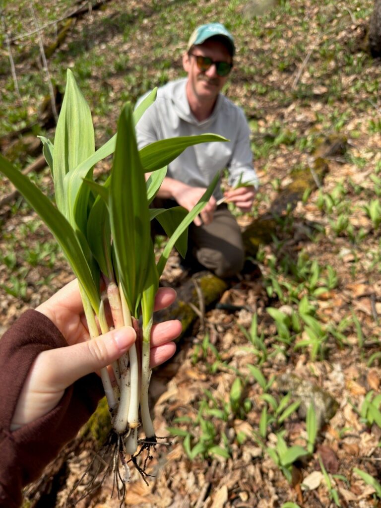 Person holding a plant in a forest