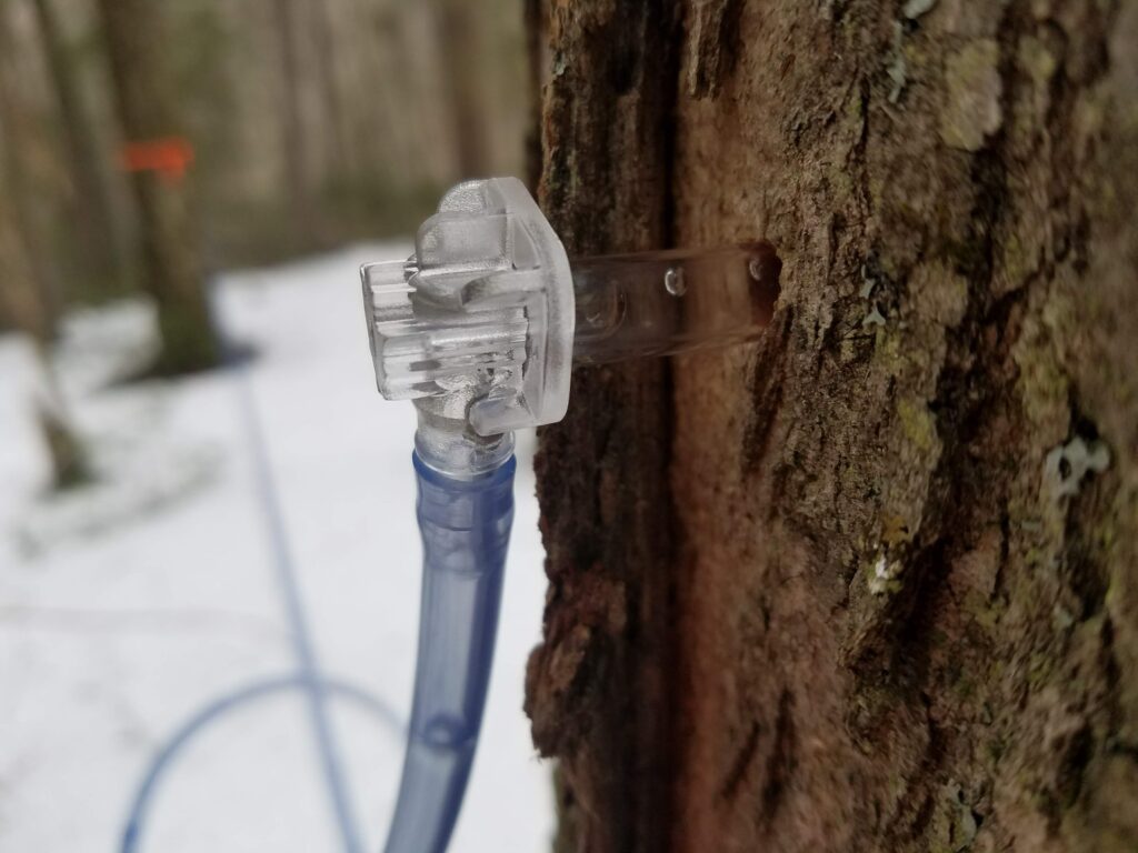 Tree with attached hose and metal fixture