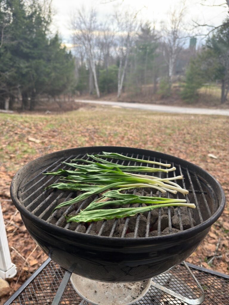 Green onions on a grill with a forest background