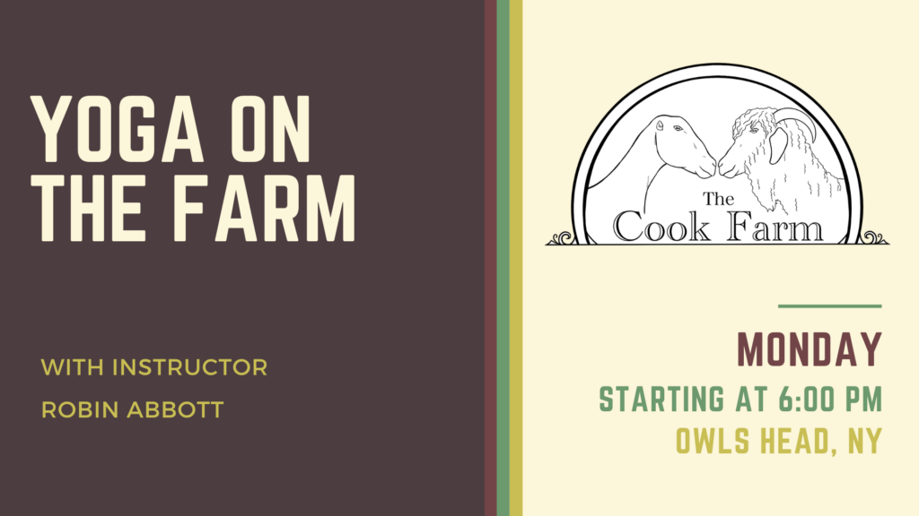 Yoga event at The Cook Farm with instructor Robin Abbott