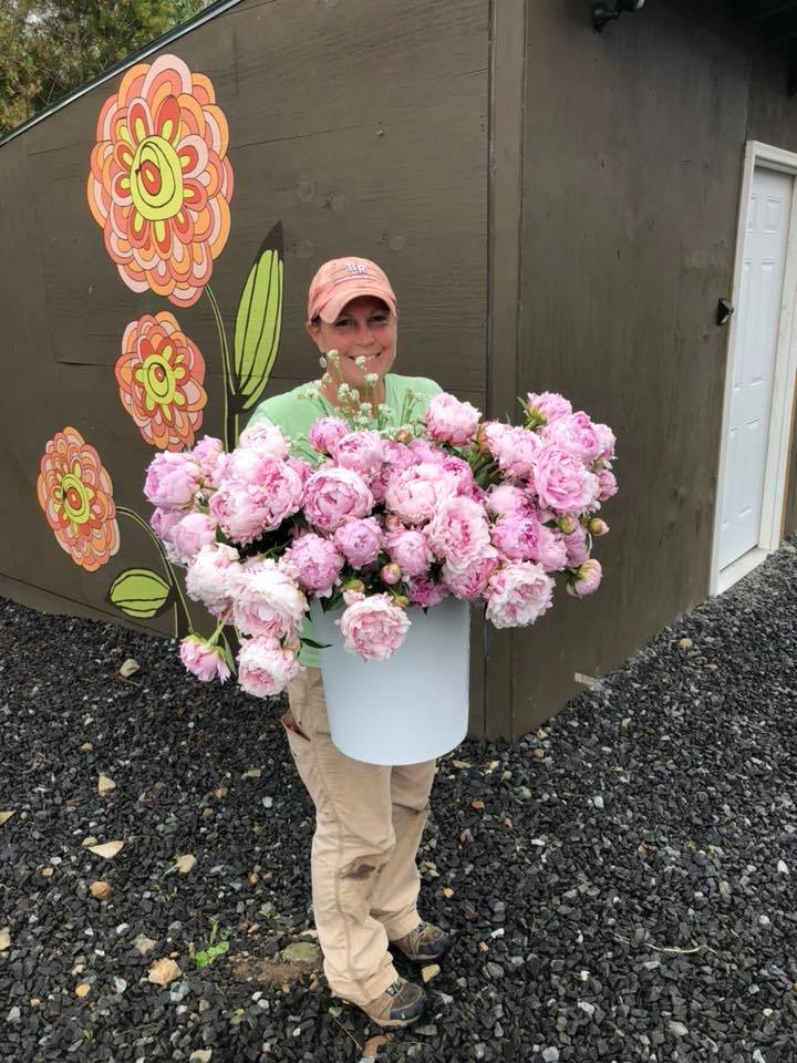 Person holding large pink peonies in a bucket