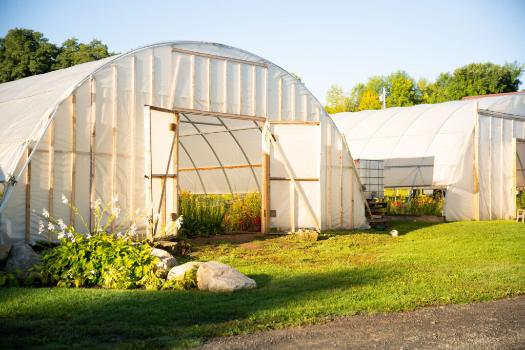 Sunlit greenhouse with plants and gardening supplies