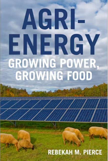 Solar panels and grazing sheep in a rural field