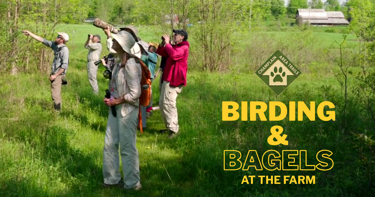 Group birdwatching in a green field