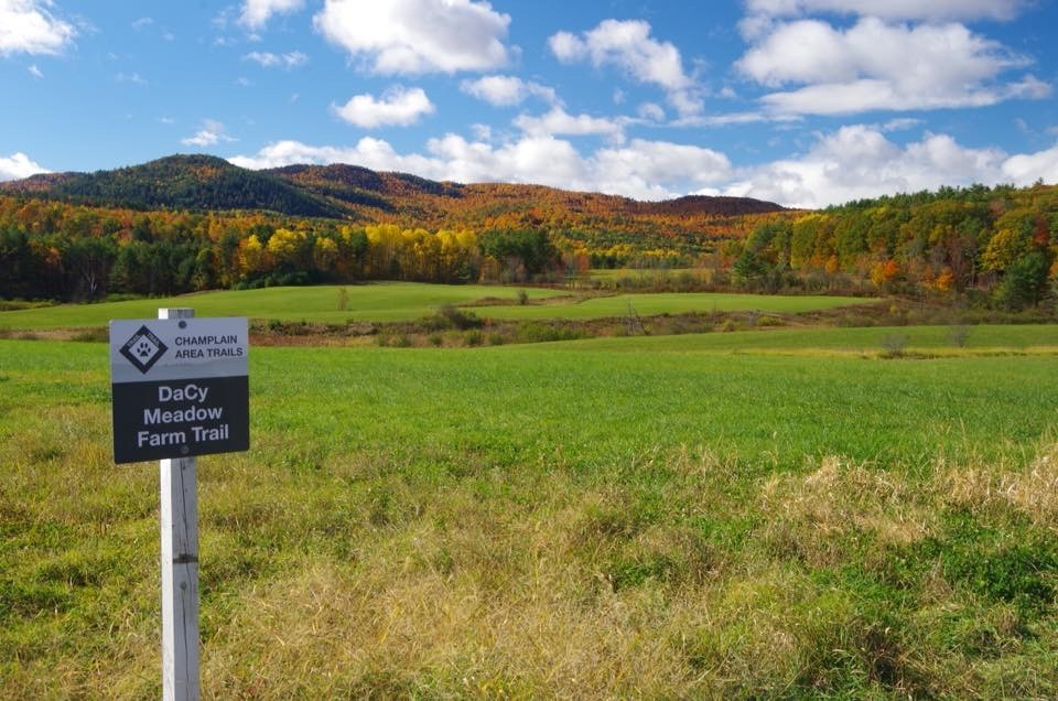 Scenic meadow and autumn forest with trail sign