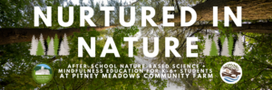 Nurtured in Nature Program Banner with Forest Background