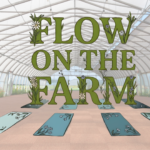 Flow on the Farm yoga mats in greenhouse