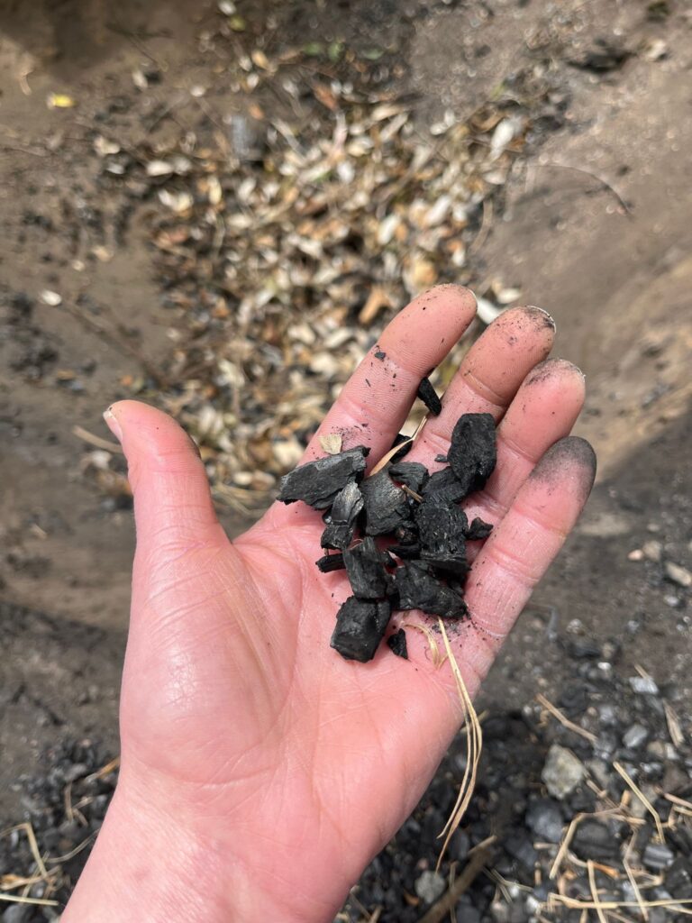 Hand holding black charred wood fragments outdoors