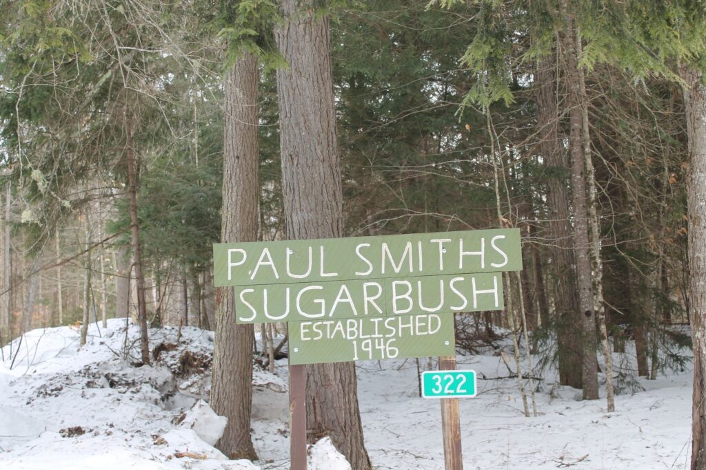 Paul Smiths Sugarbush sign in a snowy forest