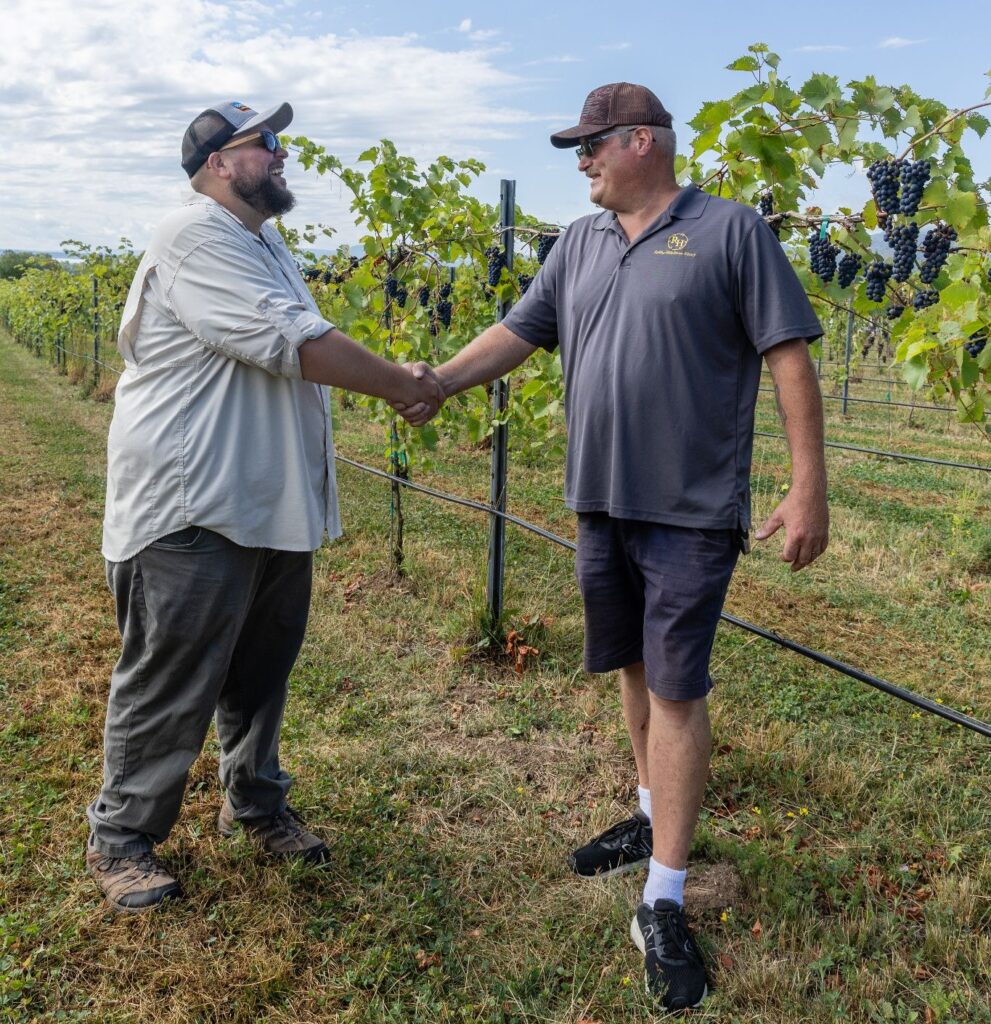 Two men shaking hands in a vineyard