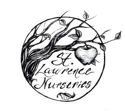 St Lawrence Nurseries Adirondack Harvest