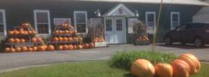 Our Apples  Chazy Orchards in Chazy, NY