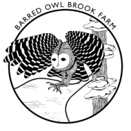 Barred Owl Brook Farm 