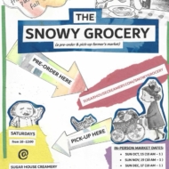 Snowy Grocery 