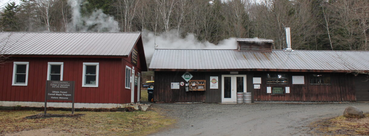 uihleinmapleresearch