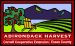 ADIRONDACK HARVEST
